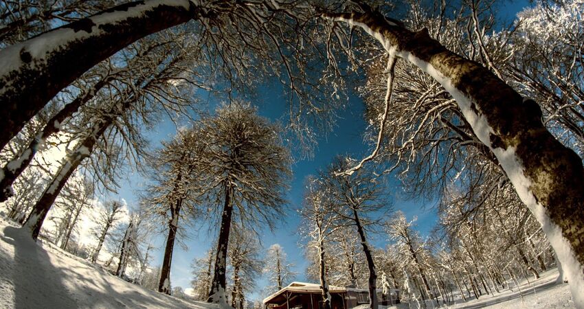 Ramazan Bayramı Özel Sapanca Ormanya Maşukiye Turu 1 Gece Otel Konaklamalı